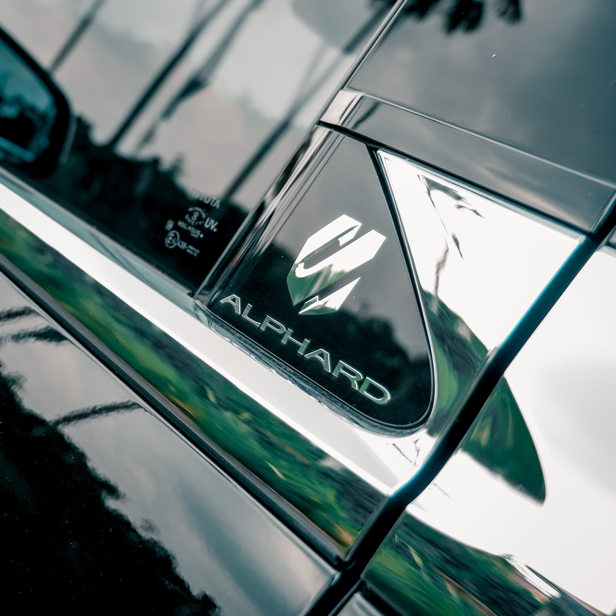 WhatsApp Image 2025-02-19 at 17.05.23_d349e1bb