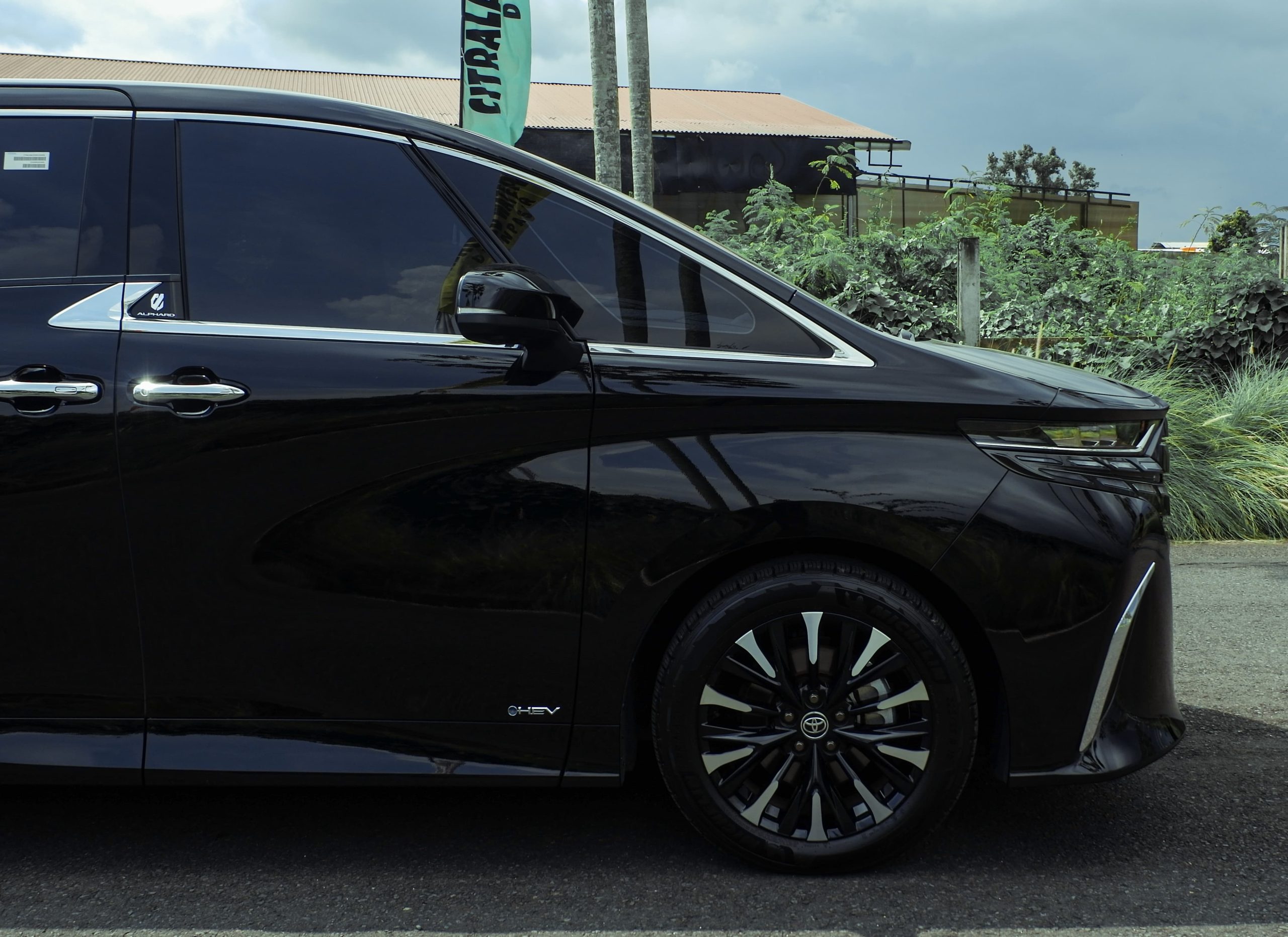 WhatsApp Image 2025-02-19 at 17.05.24_710d0275